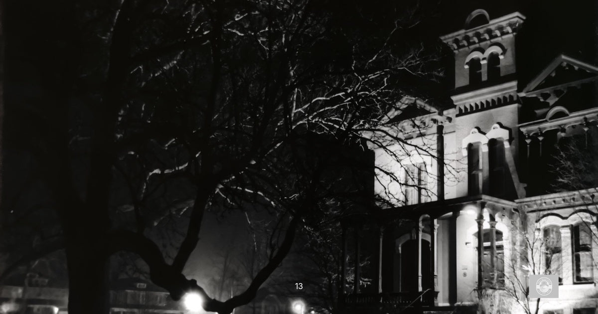 Shadows in Gaslight: A Victorian Mystery