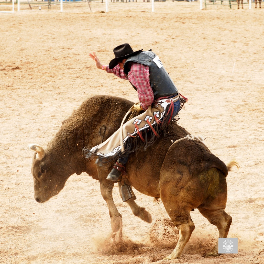 The World of Bull Riding