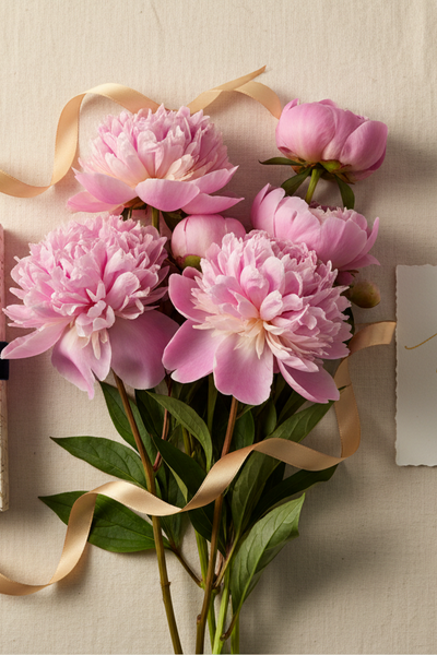 Top 10 Book Gifts for Mother's Day 2026