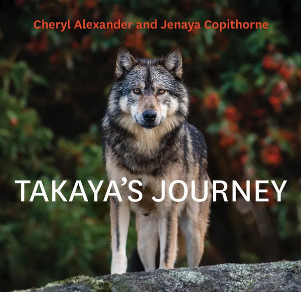 Takaya's Journey - Paperback