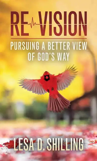 Re-Vision: Pursuing a Better View of God's Way - Hardcover