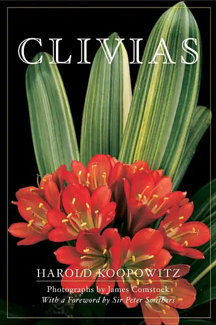 Clivias - Paperback
