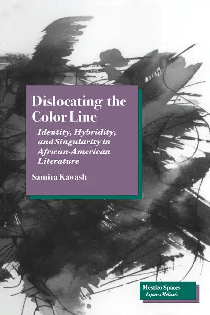 Dislocating the Color Line: Identity, Hybridity, and Singularity in African-American Narrative - Paperback