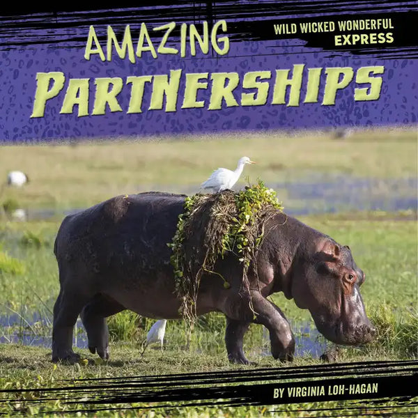 Amazing Partnerships - Paperback