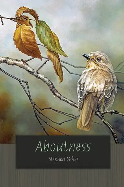 Aboutness - Paperback
