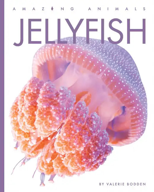 Jellyfish - Paperback