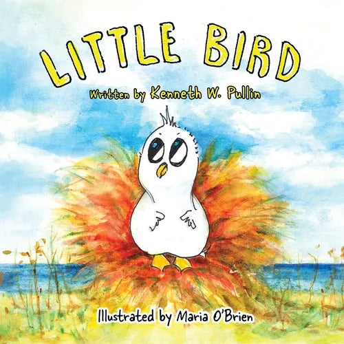 Little Bird - Paperback