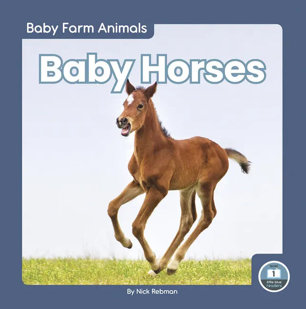 Baby Horses - Library Binding