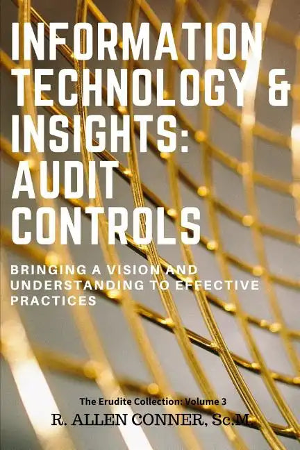 Information Technology & Insights: Audit Controls: Bringing a Vision and Understanding to Effective Practices - Paperback