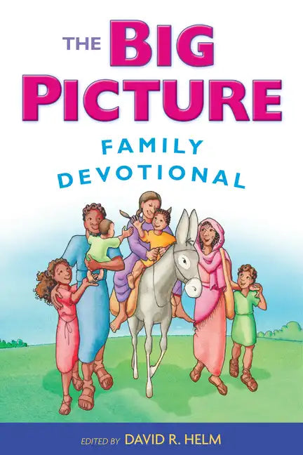 The Big Picture Family Devotional - Paperback