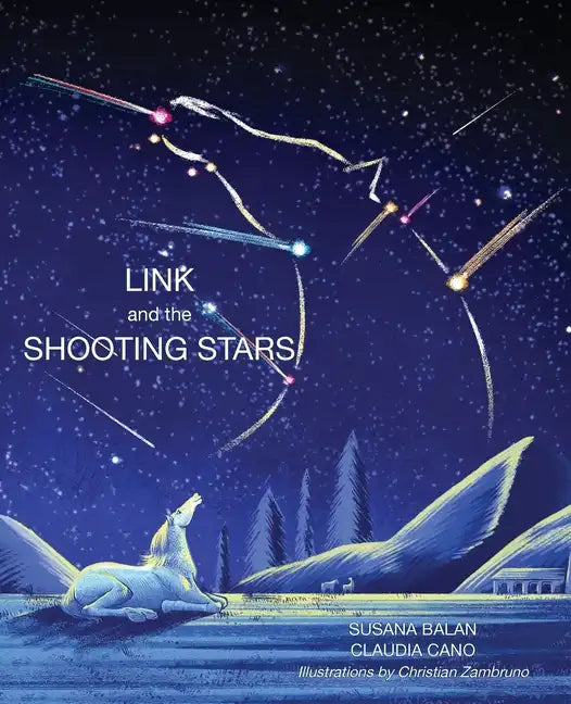 Link and the Shooting Stars - Paperback
