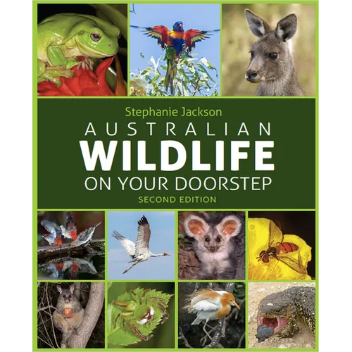 Australian Wildlife on Your Doorstep - Paperback