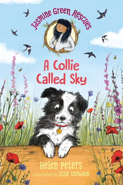 Jasmine Green Rescues: A Collie Called Sky - Hardcover
