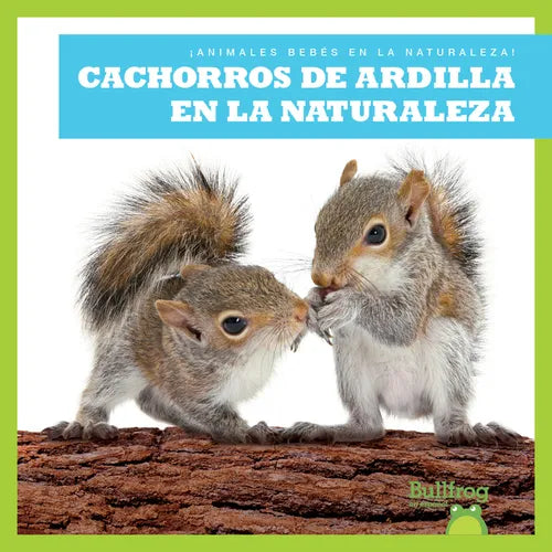 Cachorros de Ardilla En La Naturaleza (Squirrel Kits in the Wild) - Paperback