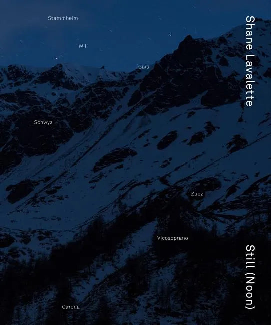 Shane Lavalette: Still (Noon) - Hardcover