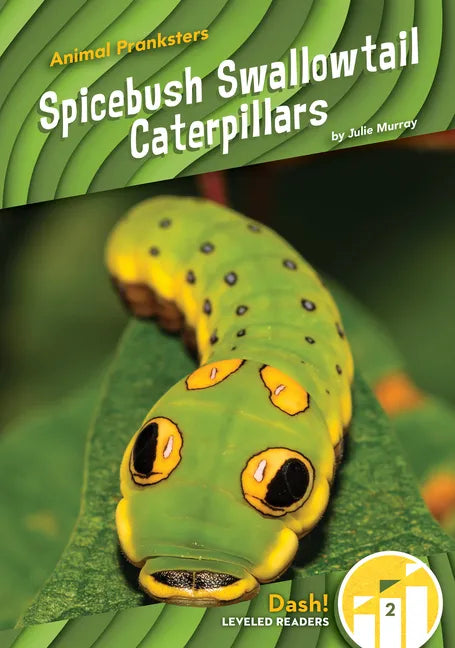 Spicebush Swallowtail Caterpillars - Library Binding
