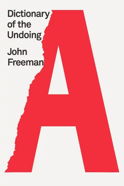 Dictionary of the Undoing - Paperback