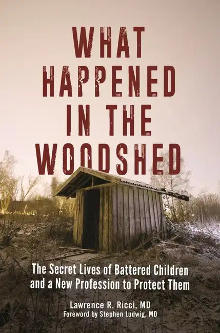 What Happened in the Woodshed: The Secret Lives of Battered Children and a New Profession to Protect Them - Hardcover
