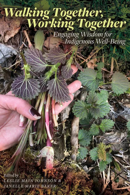 Walking Together, Working Together: Engaging Wisdom for Indigenous Well-Being - Paperback