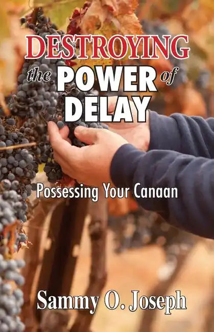 Destroying the Power of Delay: Possessing Your Canaan - Paperback
