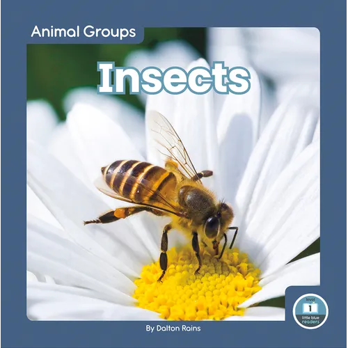 Insects - Paperback