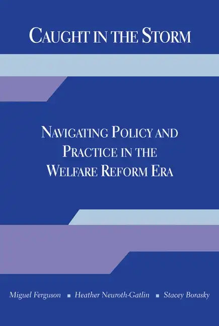 Caught in the Storm: Navigating Policy and Practice in the Welfare Reform Era - Paperback