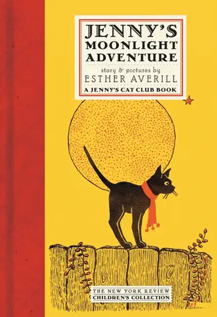 Jenny's Moonlight Adventure - Hardcover