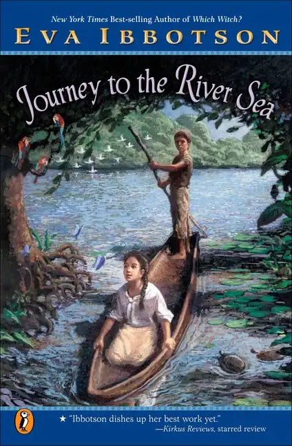 Journey to the River Sea - Paperback