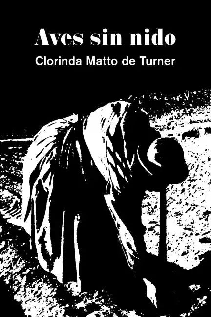 Aves sin nido - Paperback