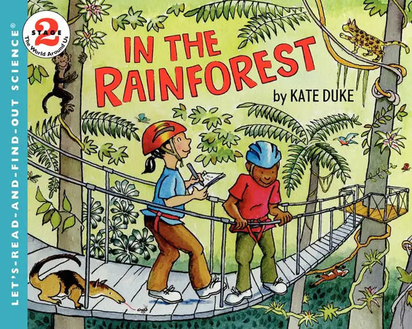 In the Rainforest - Paperback
