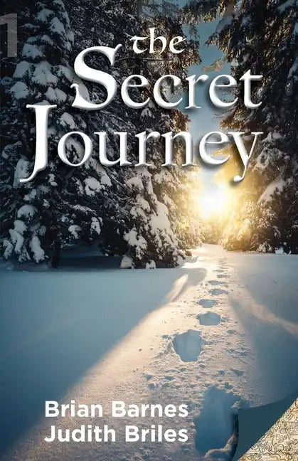 The Secret Journey - Paperback