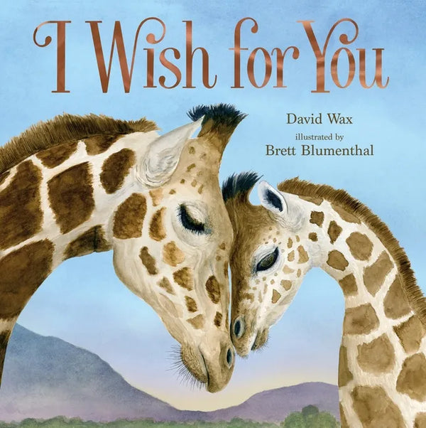 I Wish for You - Hardcover