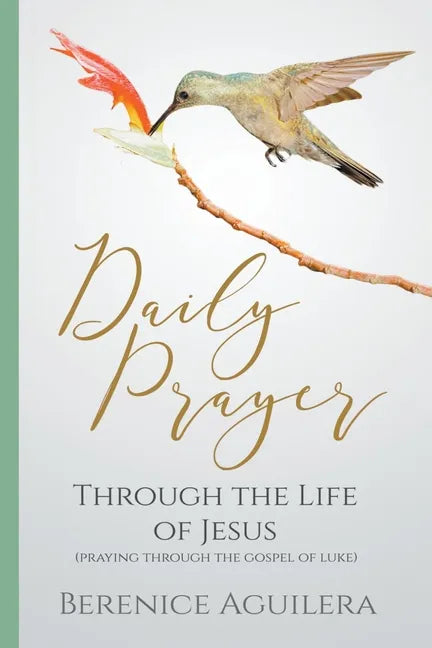 Daily Prayer through the Life of Jesus (Praying through the Gospel of Luke) - Paperback