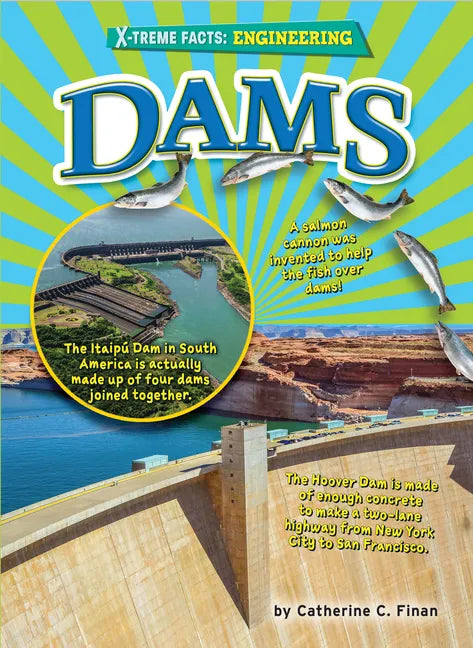 Dams - Library Binding