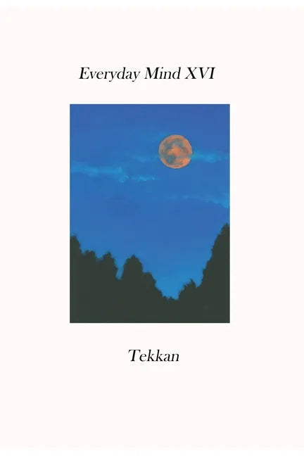 Everyday Mind XVI - Paperback