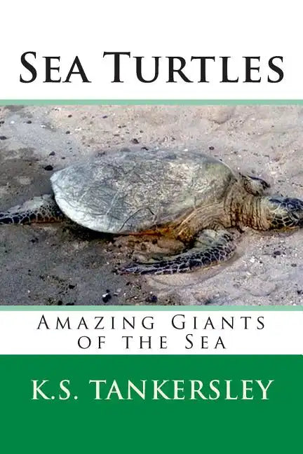 Sea Turtles: Amazing Giants of the Sea - Paperback
