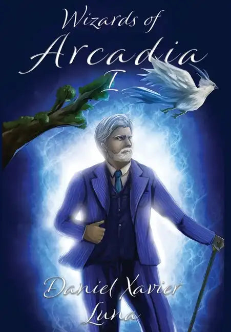 Wizards of Arcadia 1 - Hardcover