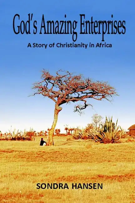 God's Amazing Enterprises: A Story of Christianity in Africa - Paperback