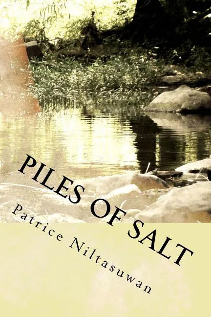 Piles of Salt: A Life Narrative of Civil War, Refugeeism, and Sociopolitical Transnationalism - Paperback