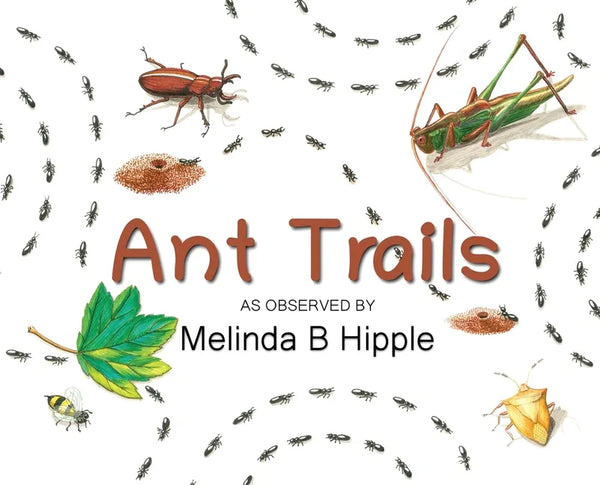 Ant Trails - Hardcover