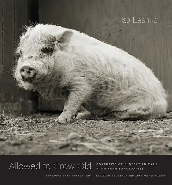 Allowed to Grow Old: Portraits of Elderly Animals from Farm Sanctuaries - Hardcover