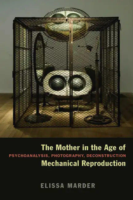 The Mother in the Age of Mechanical Reproduction: Psychoanalysis, Photography, Deconstruction - Paperback