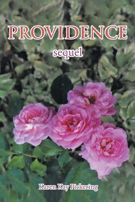 Providence: Sequel - Paperback