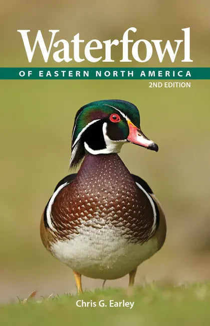 Waterfowl of Eastern North America - Paperback