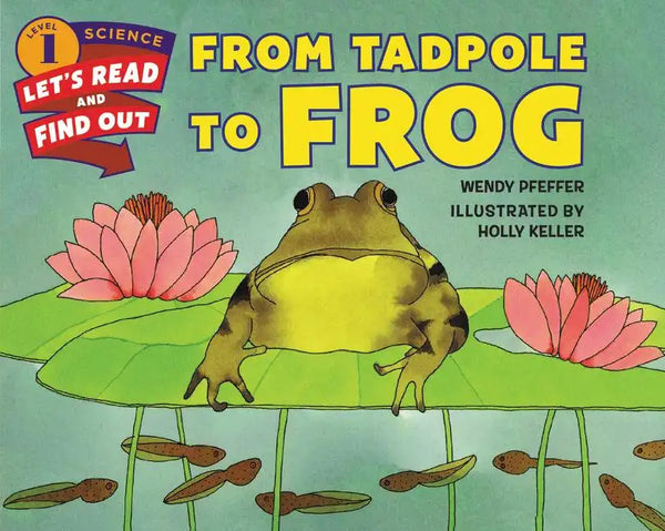 From Tadpole to Frog - Paperback