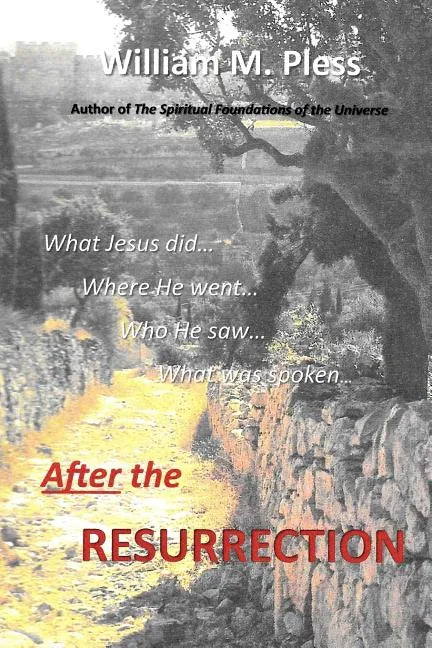 After the Resurrection: What Jesus did...Where he went...Who he saw...What was spoken... - Paperback
