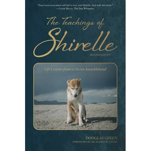 The Teachings of Shirelle: Life Lessons from a Divine Knucklehead - Paperback