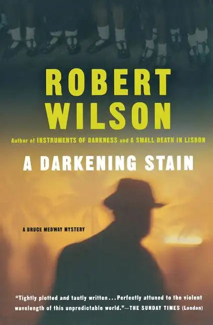 A Darkening Stain - Paperback