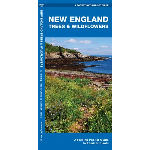 New England Trees & Wildflowers: A Folding Pocket Guide to Familiar Plants - Paperback