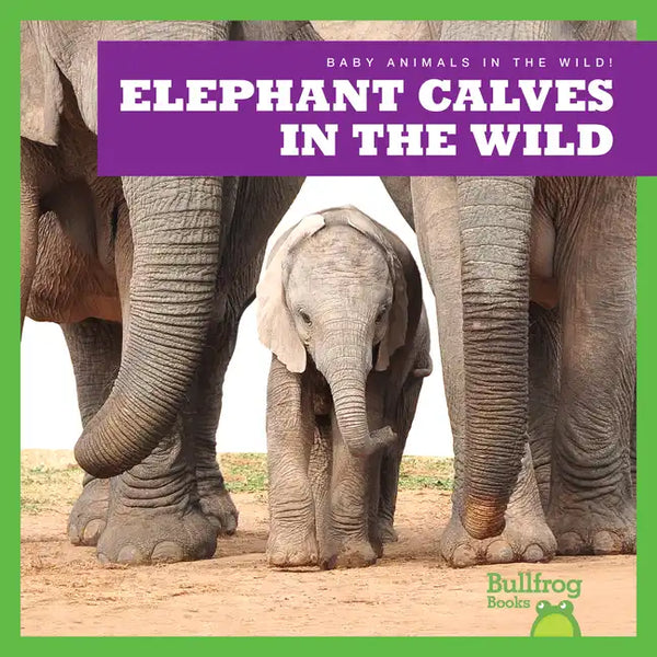 Elephant Calves in the Wild - Library Binding